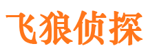 鼎城外遇出轨调查取证